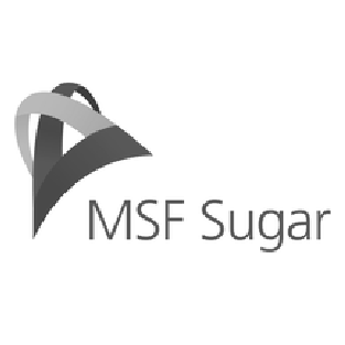 MSF Sugar